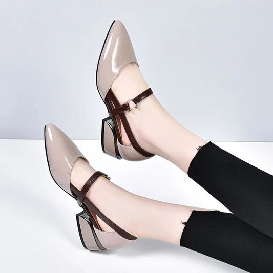 Classy Pointed Toe Shoes